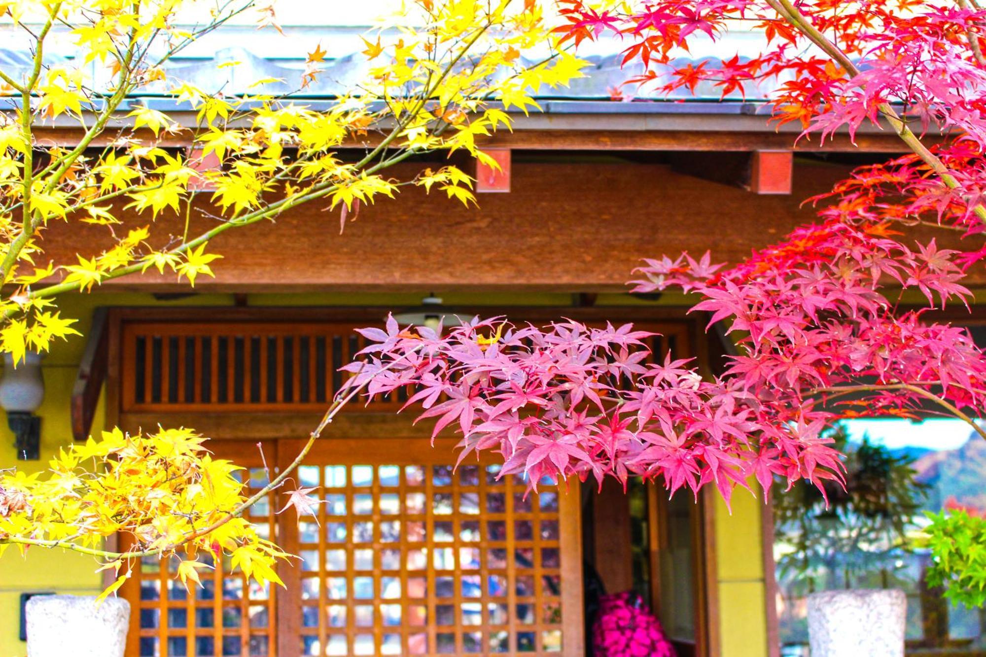 別荘 Sakura 二条城西ⅰ